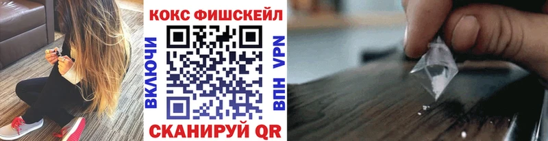 COCAIN Fish Scale  дарнет шоп  Теберда 