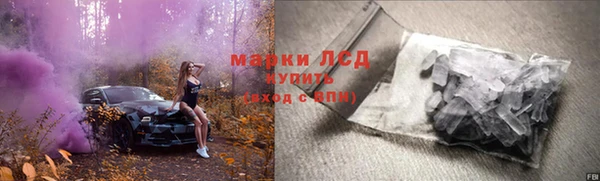 ГАЛЛЮЦИНОГЕННЫЕ ГРИБЫ Слюдянка