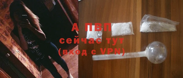 ПСИЛОЦИБИНОВЫЕ ГРИБЫ Белоозёрский