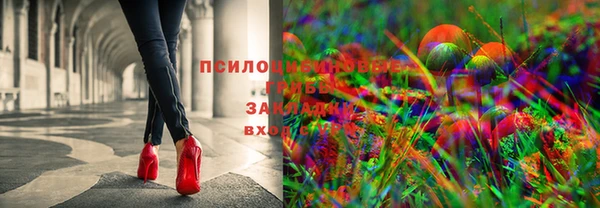 МДПВ Приозерск