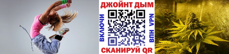 Конопля план  закладка  Теберда 